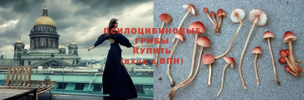 марки nbome Арсеньев