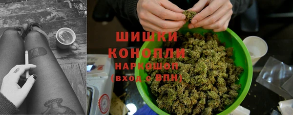 гидра Осташков