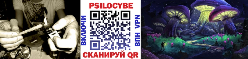 наркошоп  кракен онион  Галлюциногенные грибы Psilocybe  Спасск 